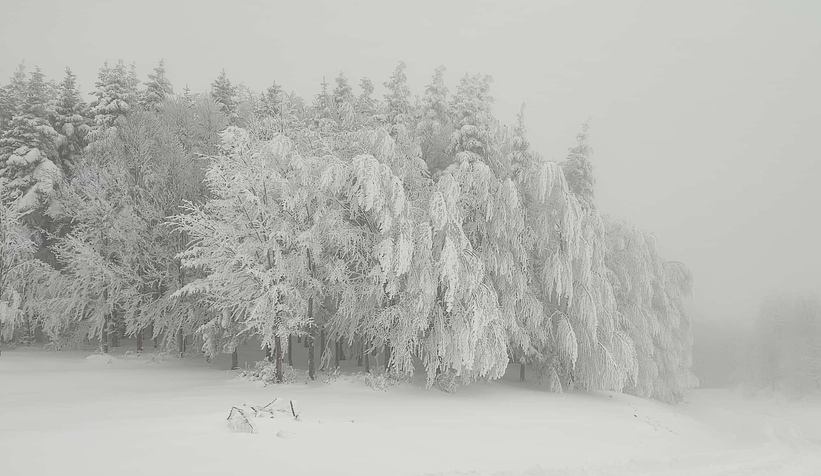Acelle Yaylası'ndan kar fotoğrafları
