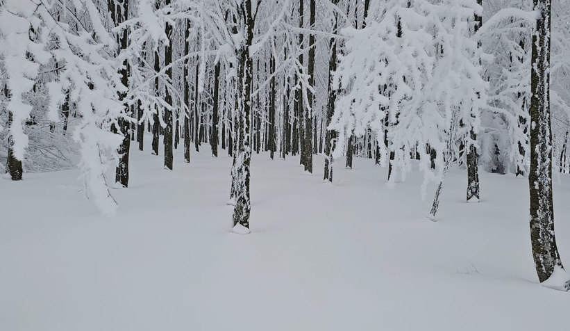 Acelle Yaylası'ndan kar fotoğrafları