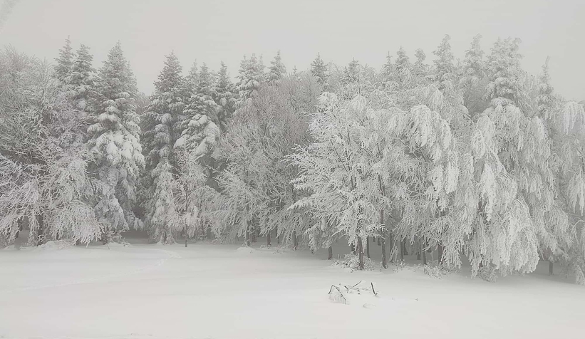 Acelle Yaylası'ndan kar fotoğrafları