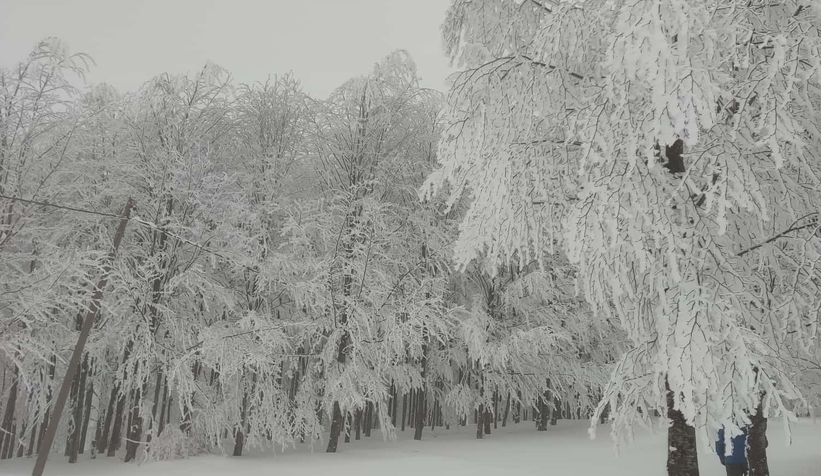 Acelle Yaylası'ndan kar fotoğrafları
