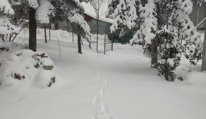 Acelle Yaylası'ndan kar fotoğrafları