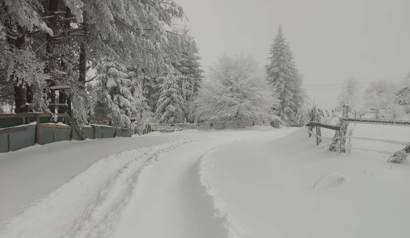 Acelle Yaylası'ndan kar fotoğrafları