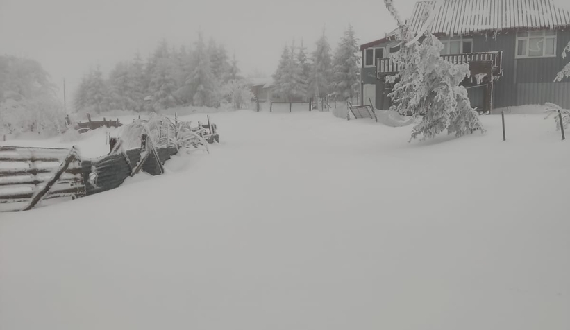 Acelle Yaylası'ndan kar fotoğrafları