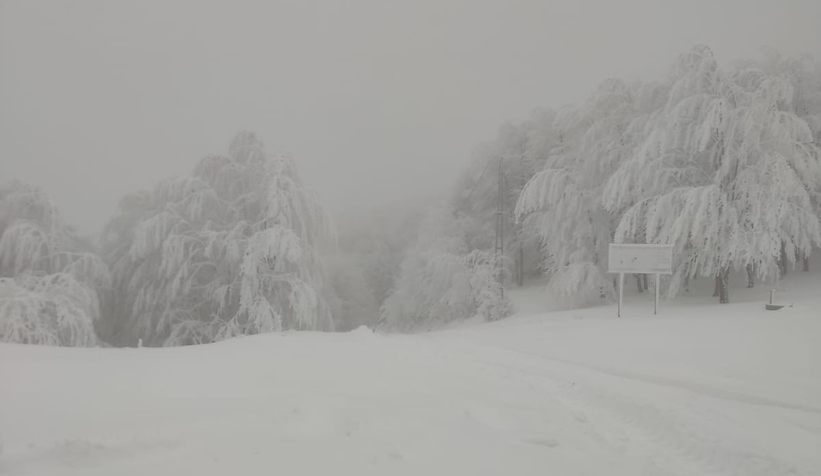 Acelle Yaylası'ndan kar fotoğrafları