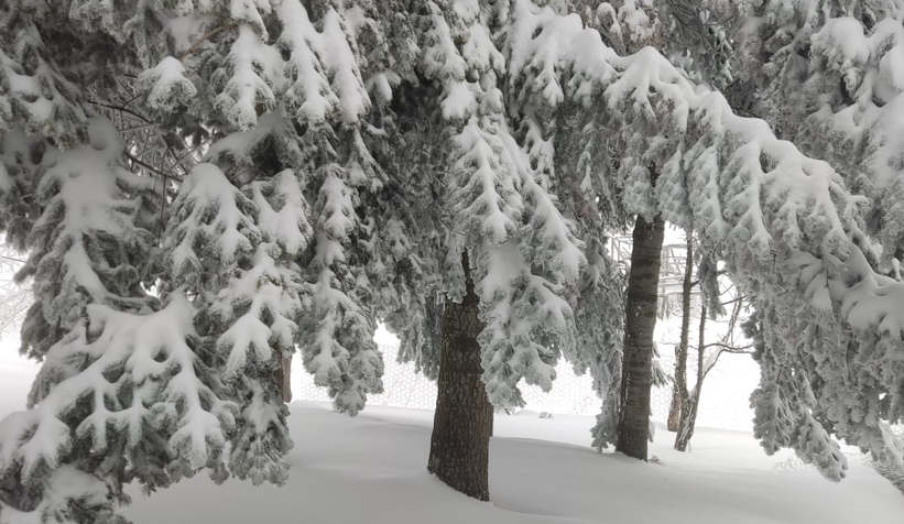 Acelle Yaylası'ndan kar fotoğrafları