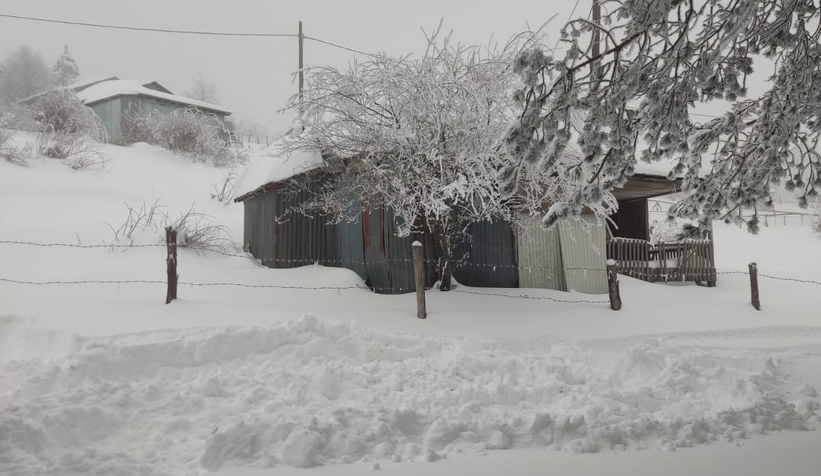 Acelle Yaylası'ndan kar fotoğrafları