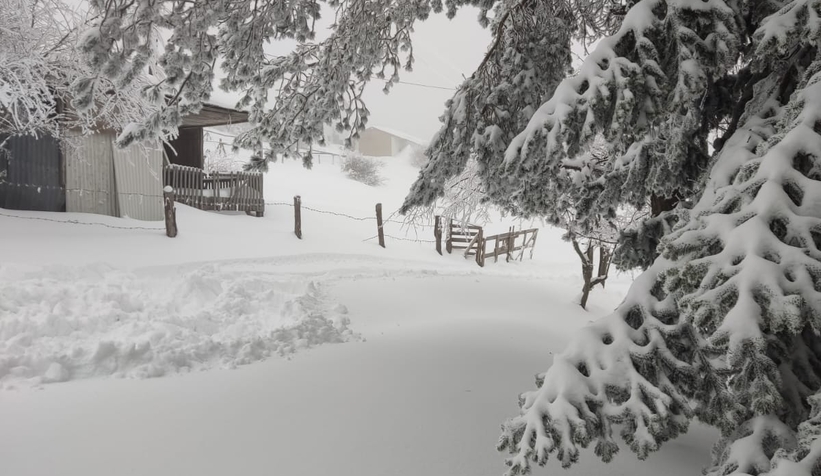 Acelle Yaylası'ndan kar fotoğrafları