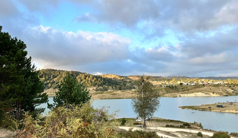 acelle-yaylasinda-yaban-arisi-tehdidi-bu-yil-buyuk-artisynrlr01jmx