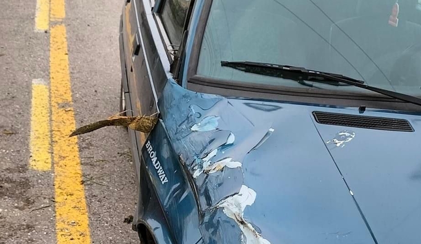 Açılan kapıyı kapatmak isterken bahçeye uçtu