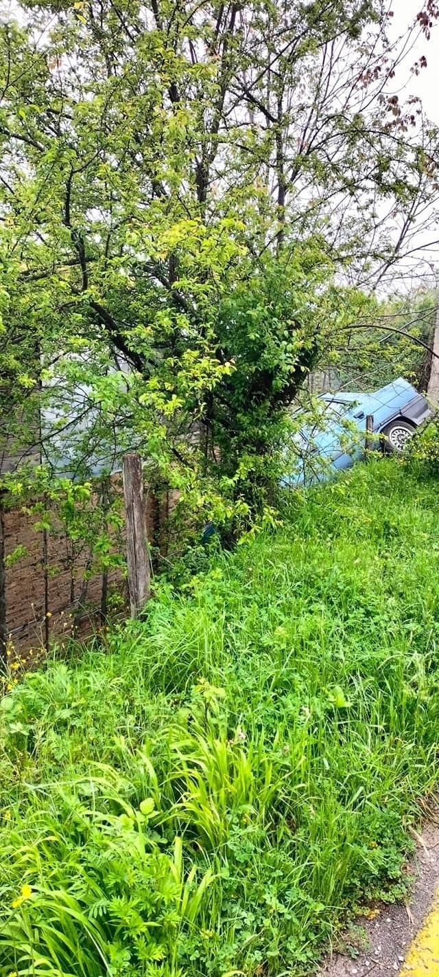 Açılan kapıyı kapatmak isterken bahçeye uçtu