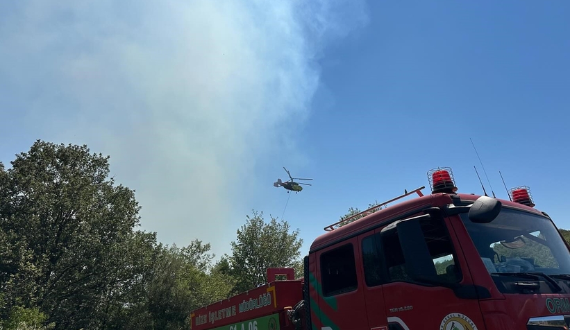 Adapazarı'nda orman yangını çıktı; Hızla kontrol altına alındı