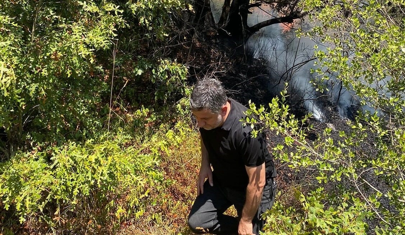 Adapazarı'nda orman yangını çıktı; Hızla kontrol altına alındı