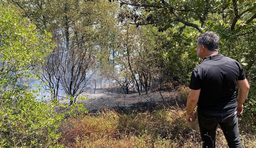 Adapazarı'nda orman yangını çıktı; Hızla kontrol altına alındı