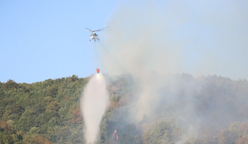 Adapazarı'nda orman yangını