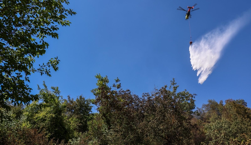 Adapazarı'ndaki orman yangını kontrol altına alındı