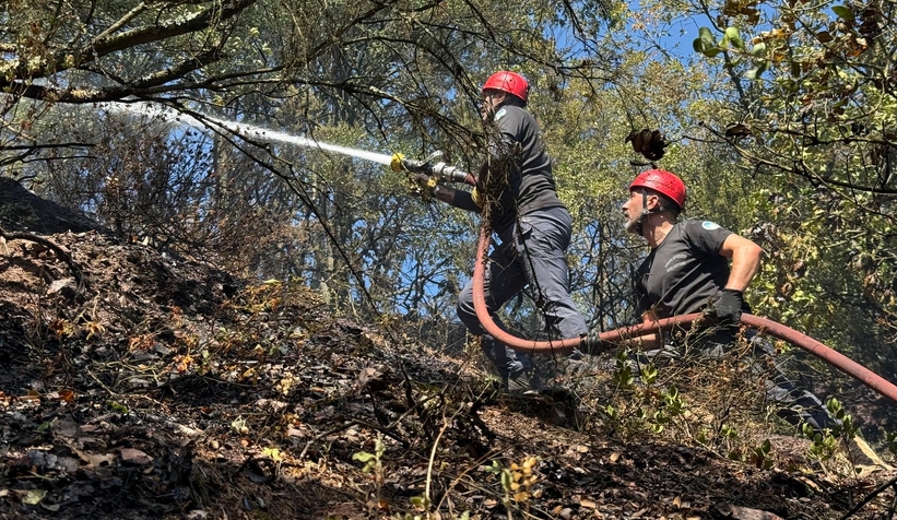 Adapazarı'ndaki orman yangını kontrol altına alındı