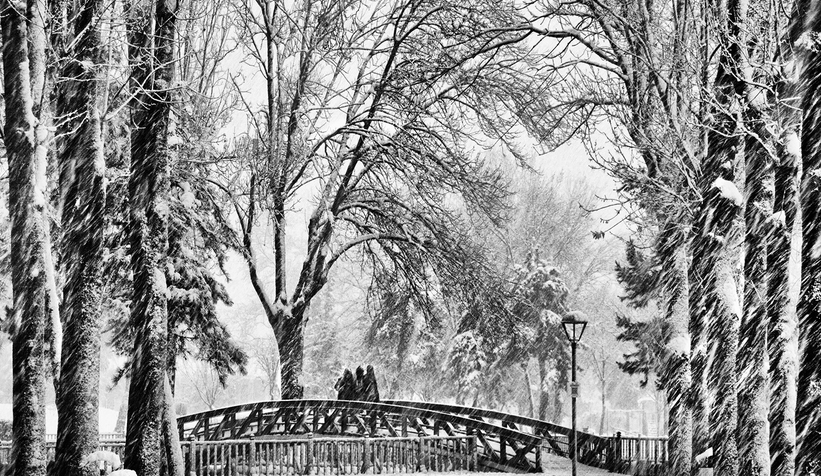adapazari-ndan-essiz-fotograf-karelerirmpmvmveqk