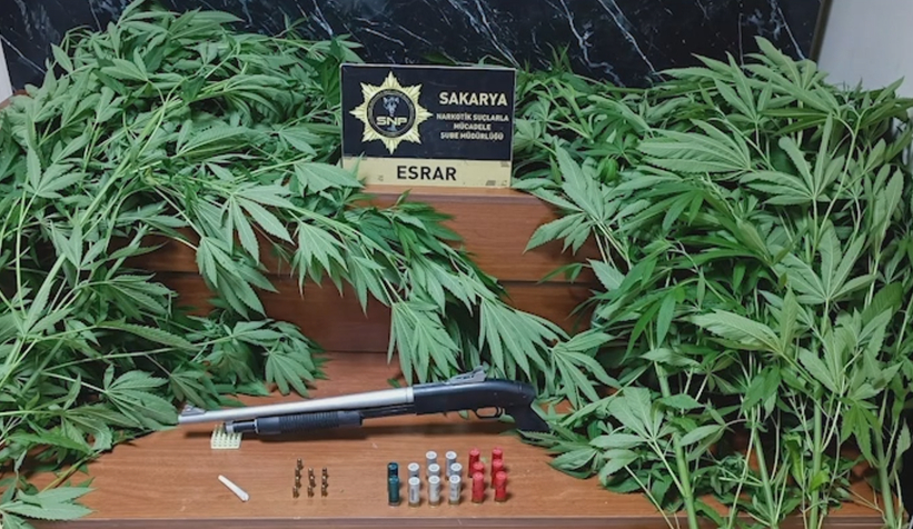 adapazari-ve-erenler-de-uyusturucu-baskinlarioeyvafbudu