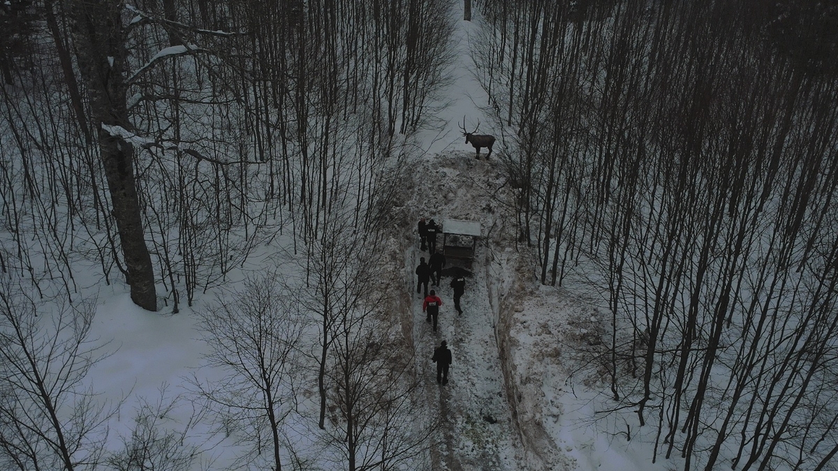 AFAD ekiplerinden çığda arama kurtarma tatbikatı