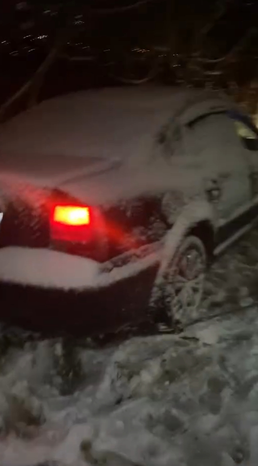 agac-hayatlarini-kurtardidfjjyxh5dn