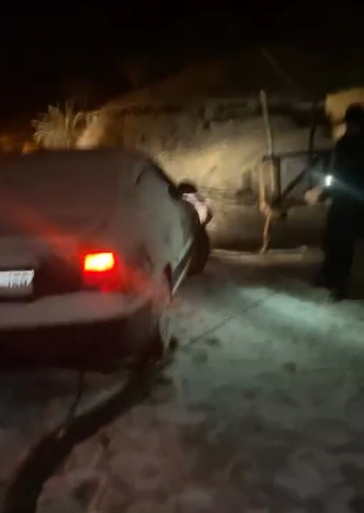 agac-hayatlarini-kurtardidfjjyxh5dn