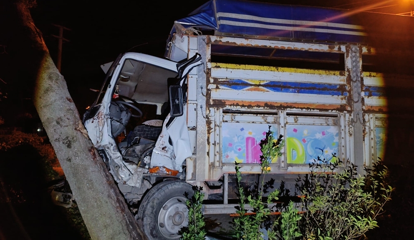 agaca-carpan-kamyonetin-surucusu-aracta-sikistis2h6zuf0rf