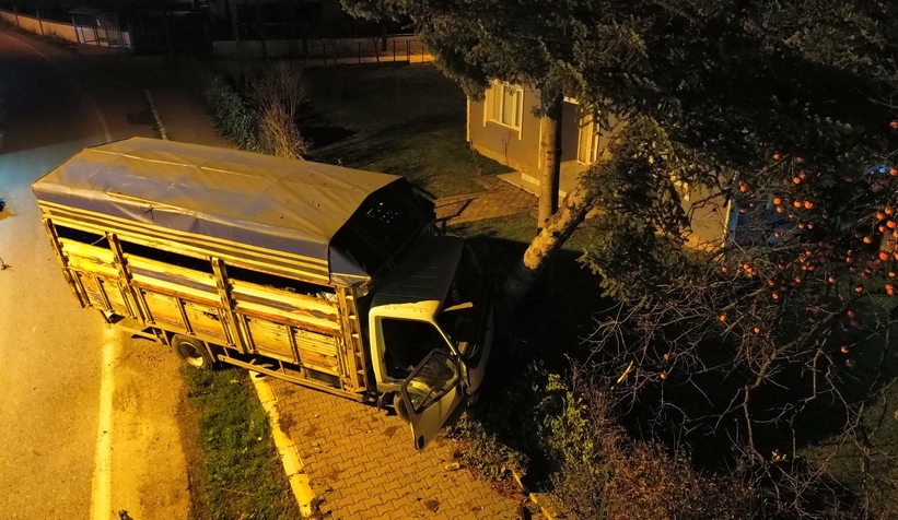agaca-carpan-kamyonetin-surucusu-aracta-sikistis2h6zuf0rf