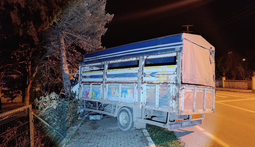 agaca-carpan-kamyonetin-surucusu-aracta-sikistis2h6zuf0rf