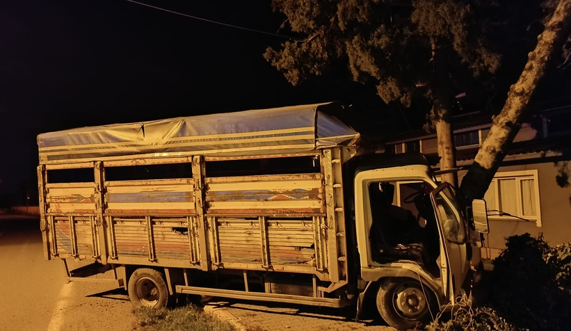 agaca-carpan-kamyonetin-surucusu-aracta-sikistis2h6zuf0rf