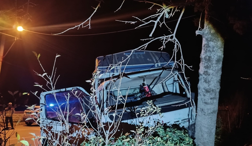 agaca-carpan-kamyonetin-surucusu-aracta-sikistis2h6zuf0rf
