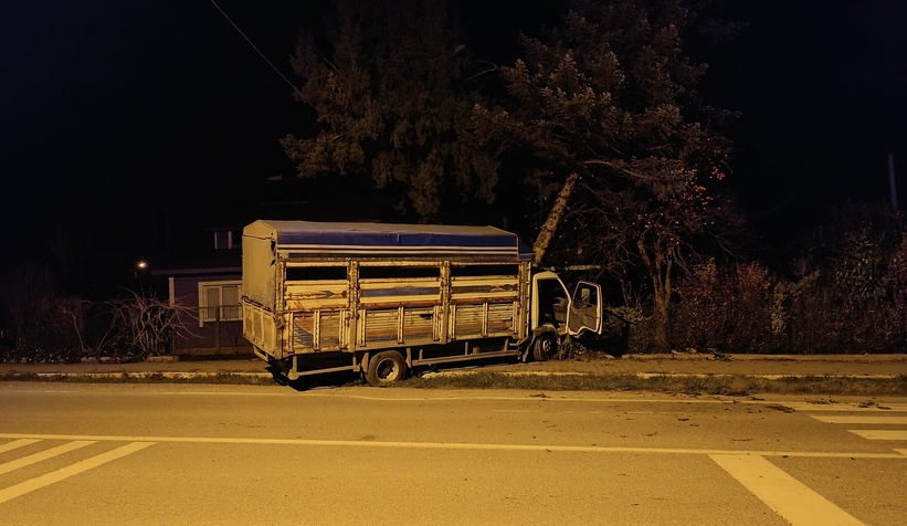 agaca-carpan-kamyonetin-surucusu-aracta-sikistis2h6zuf0rf