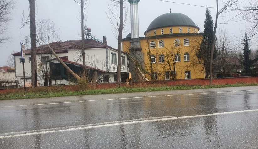 Ağaçlar lojmanın üzerine devrildi