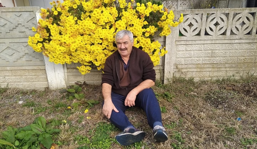 Ağaçtan düştü, kurtarılamadı