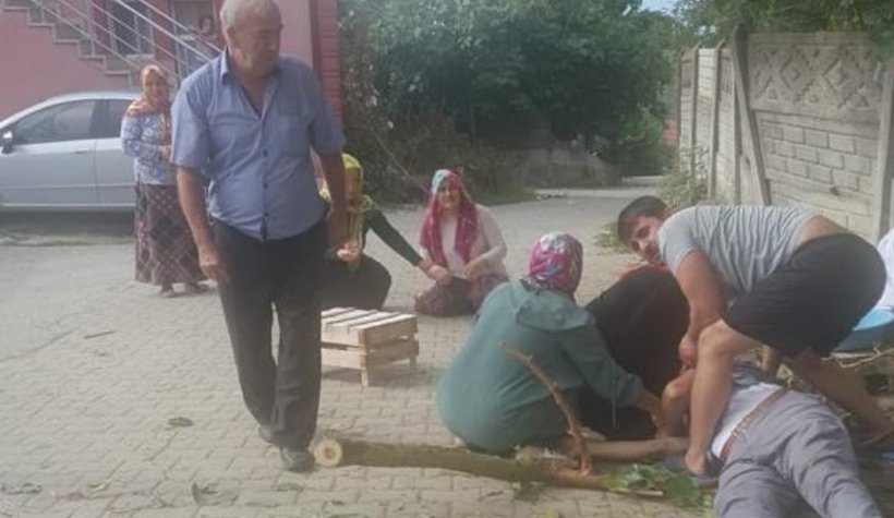 Ağaçtan düşüp öldü