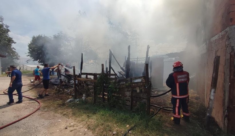 Ahır yandı; 2 büyükbaş hayvan telef oldu
