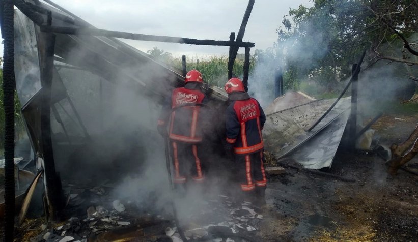 Ahır yangınında 3 hayvan telef oldu