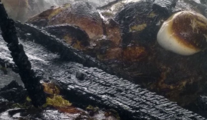 Ahır yangınında 3 hayvan telef oldu