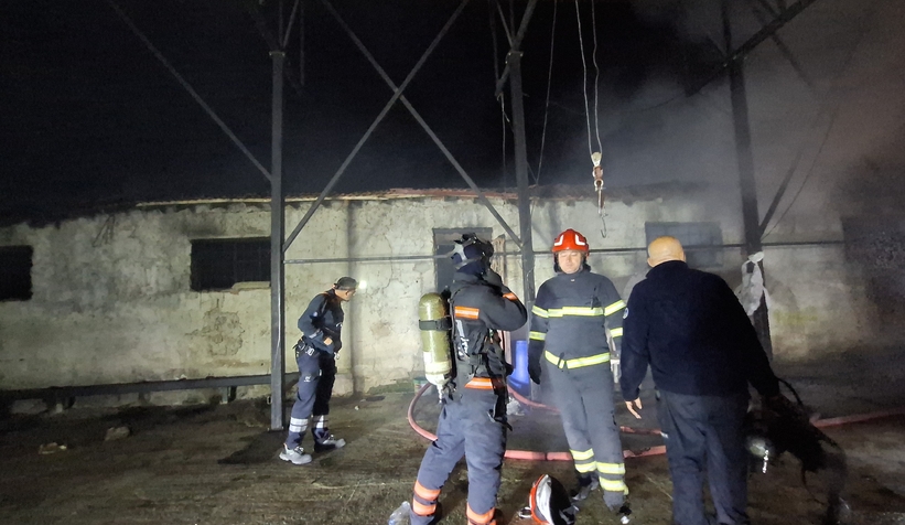 ahirda-yangin-16-buyukbas-kurbanlik-telef-olduvvfhevlst2