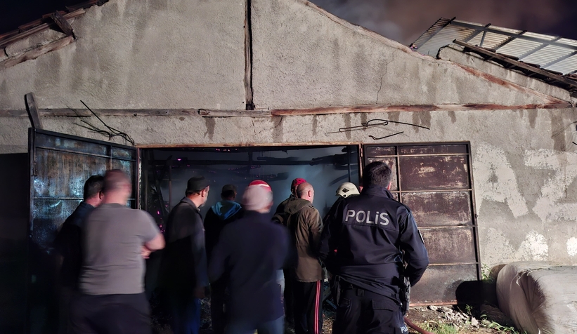 ahirda-yangin-16-buyukbas-kurbanlik-telef-olduvvfhevlst2