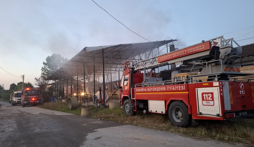 ahirda-yangin-16-buyukbas-kurbanlik-telef-olduvvfhevlst2