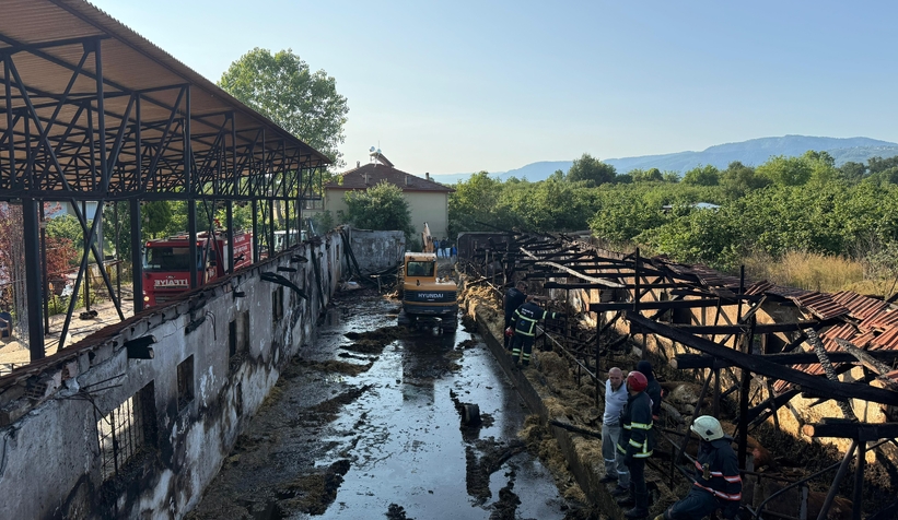 ahirda-yangin-16-buyukbas-kurbanlik-telef-olduvvfhevlst2
