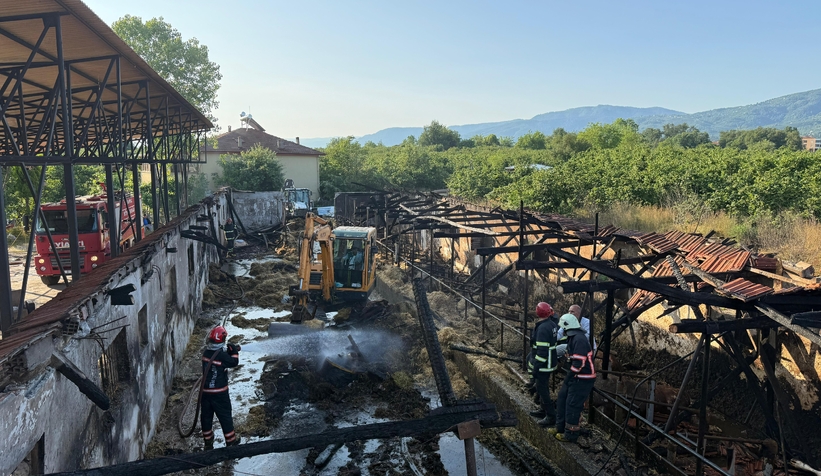 ahirda-yangin-16-buyukbas-kurbanlik-telef-olduvvfhevlst2