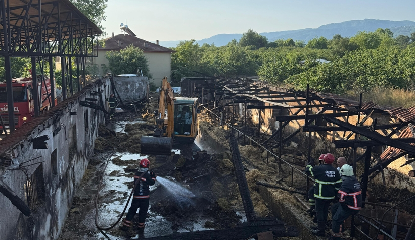 ahirda-yangin-16-buyukbas-kurbanlik-telef-olduvvfhevlst2