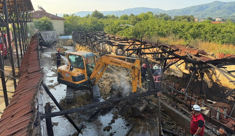 ahirda-yangin-16-buyukbas-kurbanlik-telef-olduvvfhevlst2