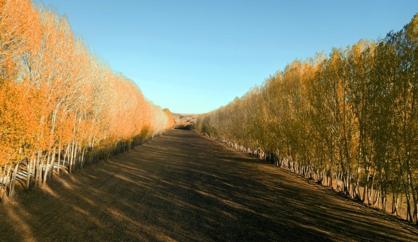 Ahlat’tan sonbahar manzaraları