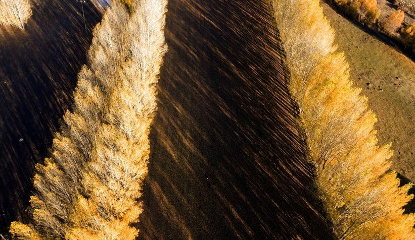 Ahlat’tan sonbahar manzaraları