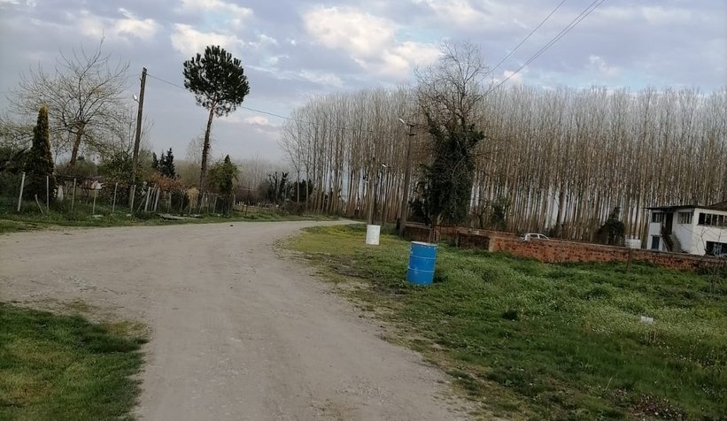 Ailenin internet isyanı