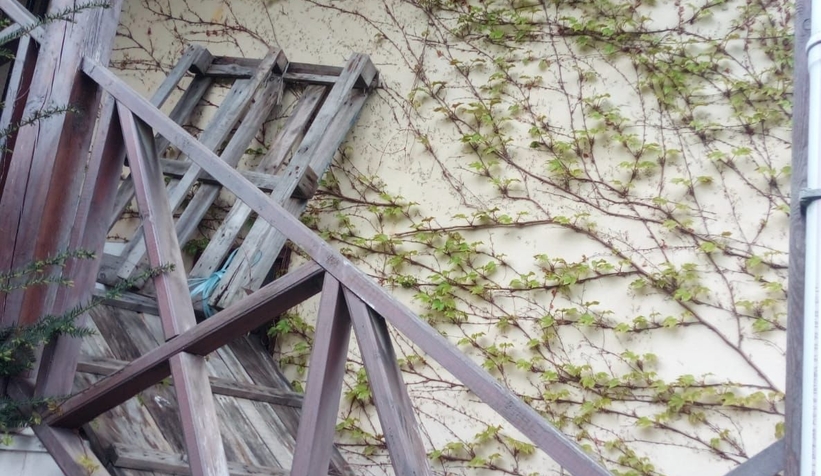 Akıllara durgunluk veren olay