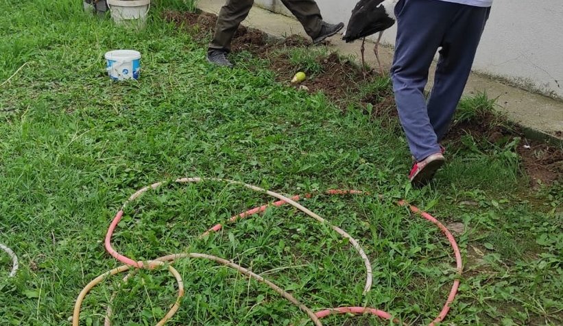 Akıma kapılan iki leylekten biri telef oldu