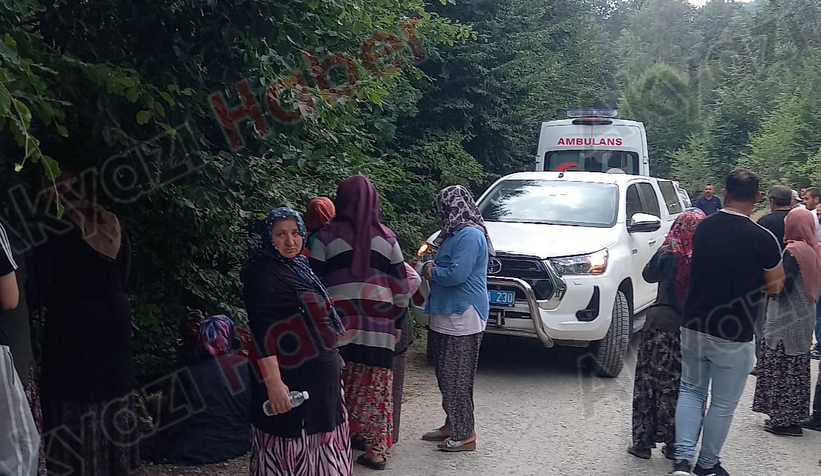 akyazi-acelle-yaylasi-nda-atv-araciyla-kaza-yapan-kadin-hayatini-kaybetti-sljpzzhxmv